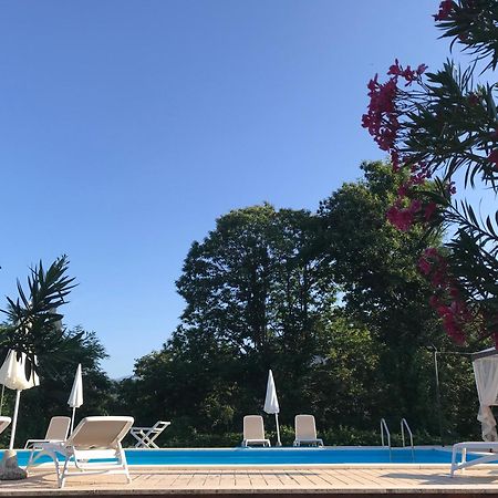 Appartamento Di Lusso In Villa Riccardo Barga Exterior foto